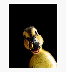 Just Ducky! Photographic Print