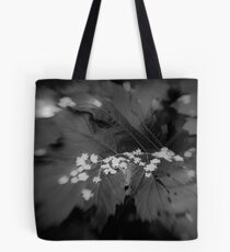 Lensbaby Tote Bag
