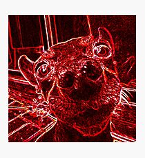Red Nose Photographic Print