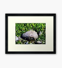 Tidal Vibrance Framed Print