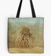 The Anatomy of a Parallel Universe Tote Bag
