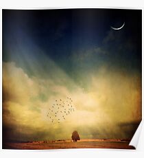 Echo Of A Sigh Poster