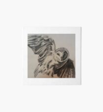 Barn owl Art Board