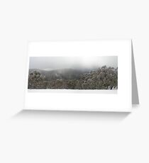 Snow gums on St Gwinear Greeting Card