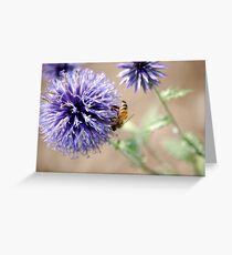 Globetrotter Greeting Card
