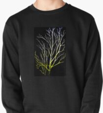 Winter Trees Pullover Sweatshirt