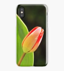 Tulip iPhone Case/Skin