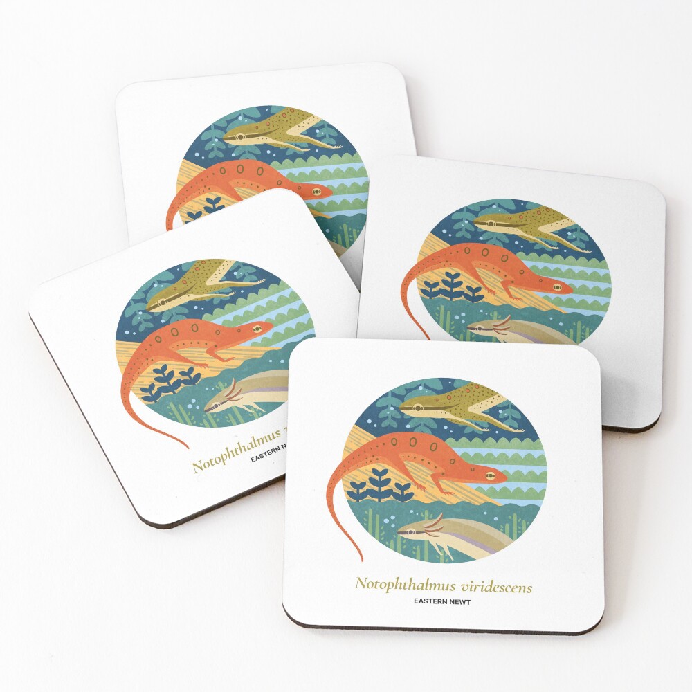 The Circles of Life: Eastern Newt Coasters (Set of 4)