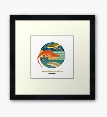 The Circles of Life: Eastern Newt Framed Print