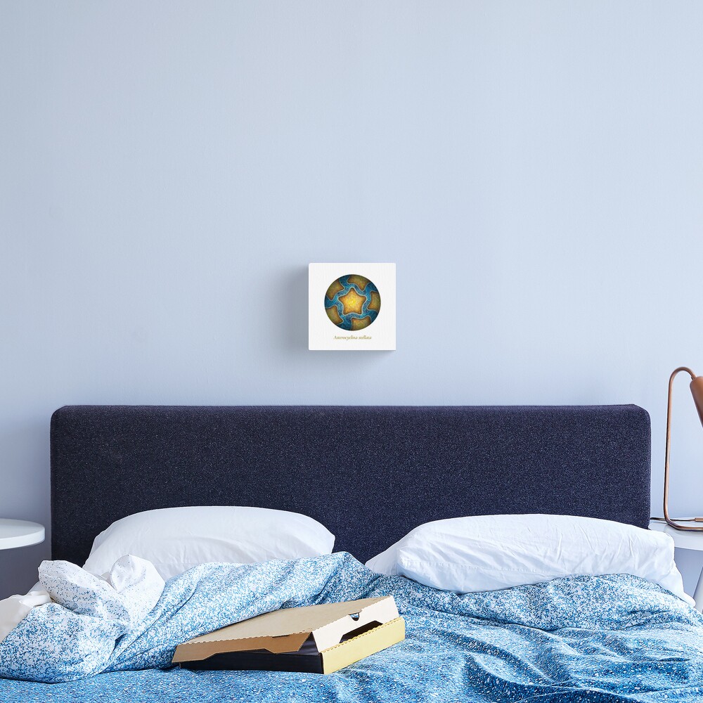 The Circles of Life: Asterocyclina stellata Canvas Print