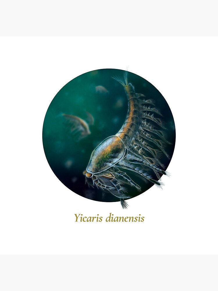 The Circles of Life: Yicaris dianensis by franzanth