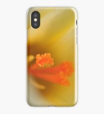 Crocus iPhone Case/Skin
