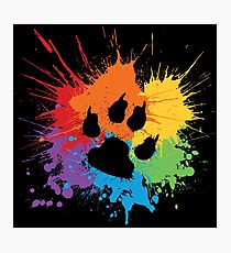 Paw Pride: Dark 2019 Photographic Print