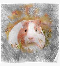 Artistic animal Guinea Pig Poster