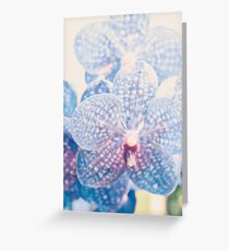 Tarjeta de felicitación Resumen de orquídeas