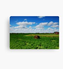 alfalfa fields Leinwanddruck