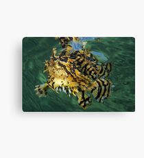 Walking In Water Canvas Print