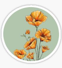 California Poppies Sticker