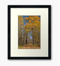 Along the path Framed Print