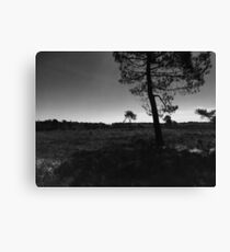 Grey scale Canvas Print