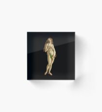 Bottlecelli - beer foam born Venus Acrylic Block