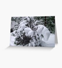 Snow Load Greeting Card