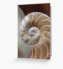 Nautilus Shell Greeting Card