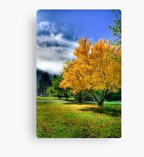 Autumn hdr Canvas Print