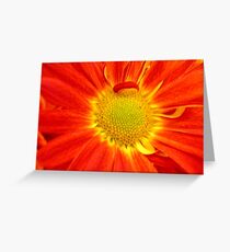 *MUMS THE WORD* Greeting Card