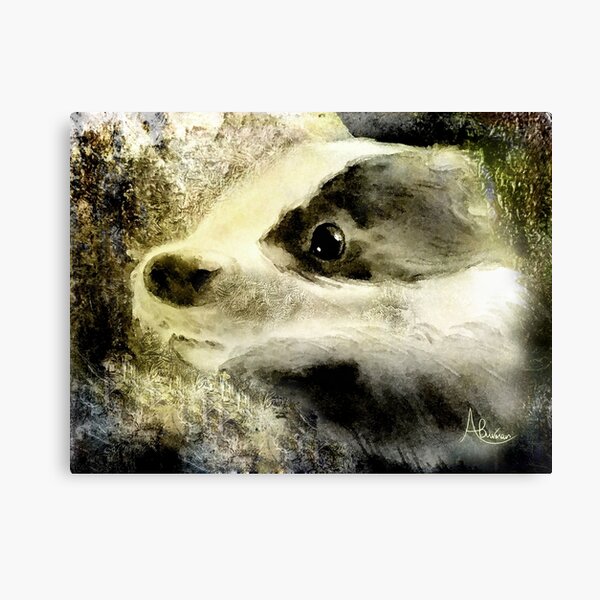 Baby Badger Canvas Print