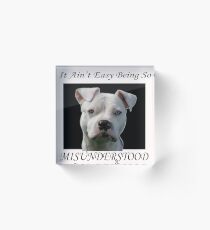 Misunderstood Acrylic Block