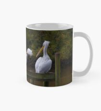 Pelicans Mug