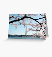 Washington DC - Cherry Blossom Greeting Card