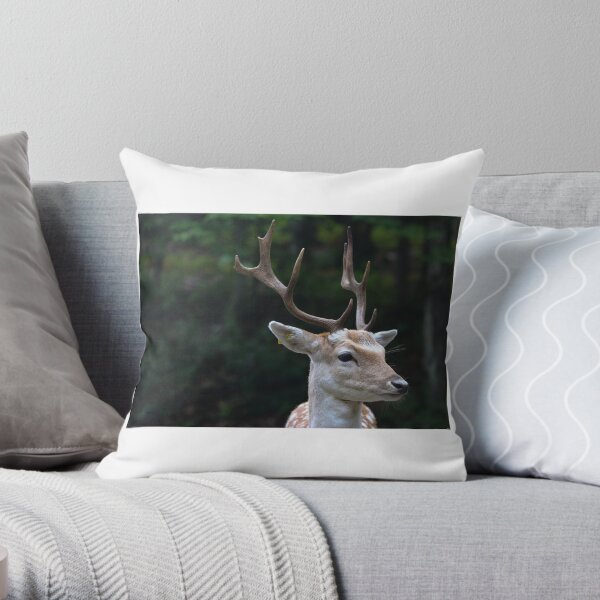 Male Fallow deer Throw Pillow