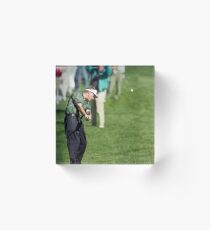 Mickelson hits an iron Acrylic Block
