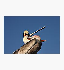 Betcha Can't Do This! Photographic Print