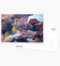 Hidden Places Postcards