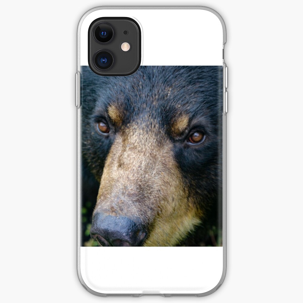 Bear close up iPhone Case & Cover