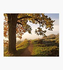 My path Photographic Print