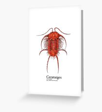 Ceratarges Plate Greeting Card