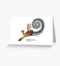 Erbenoceras Plate Greeting Card