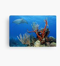 Flyover Canvas Print