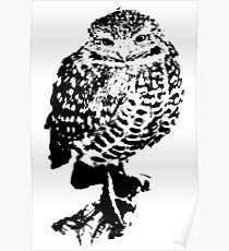 Hemden, Hemden für Männer, Hemden für Frauen, Eulen-T-Shirt Poster