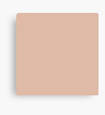 Peach Canvas Print