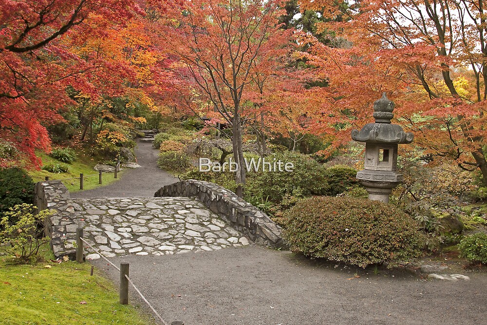 "Japanese Gardens, Washington Park Arboretum" by Barb White | Redbubble
