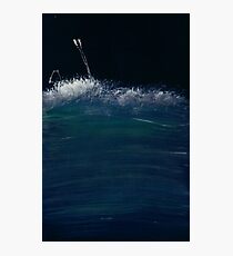 WDVMM - 0482 - Marshland Photographic Print