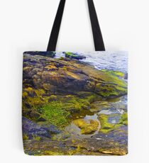 Rocks with Lichen Tote Bag
