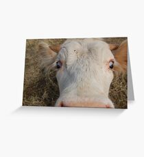 junior is my name Greeting Card