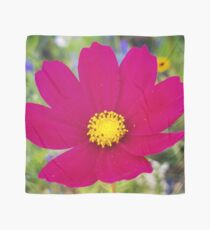Flowers Go Wild in Wimbledon 6 - Cosmos in the field Scarf