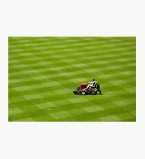 Grass...grass....more grass! Photographic Print